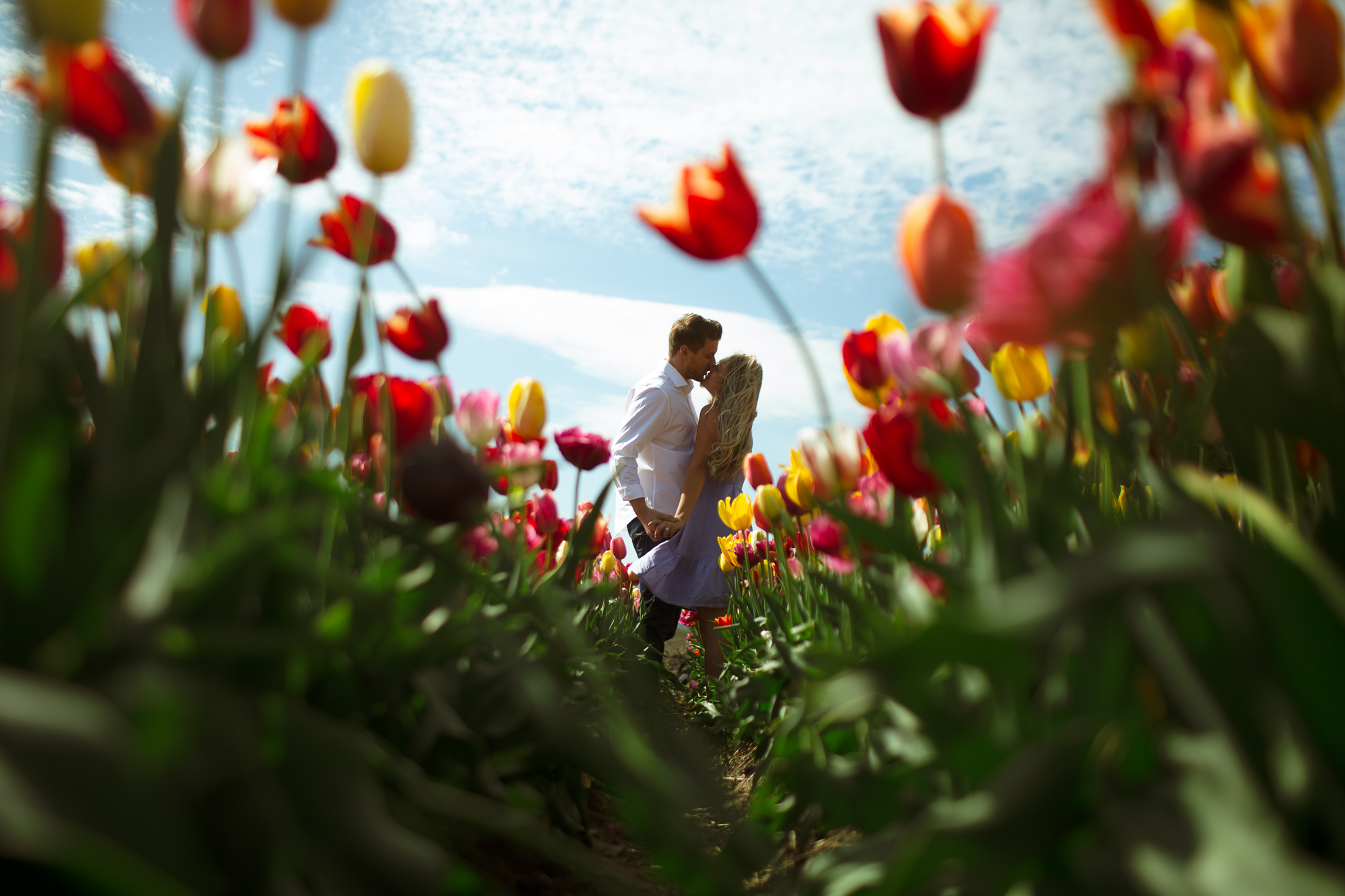 Thomas & Maria | Bloom Tulip Festival engagement